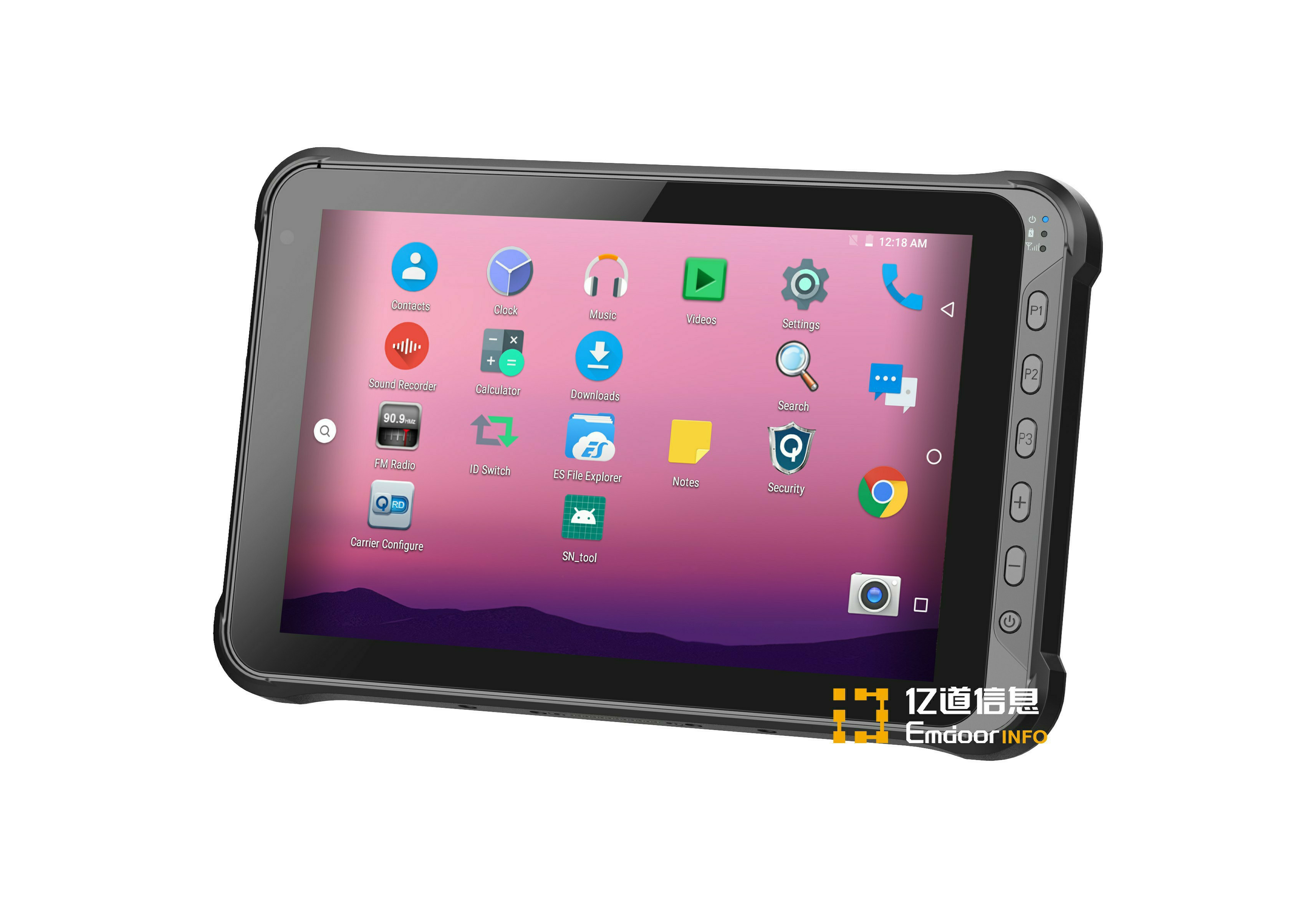 10 Inch Rugged Tablet EM-Q15P
